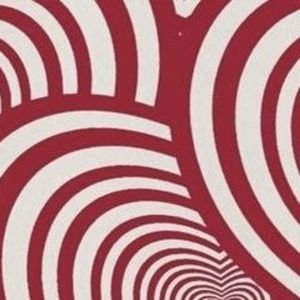 Meet your Posher, Asra